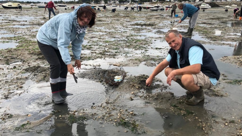 Activités pêche à pied en Bretagne Sud