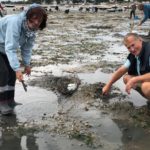 Activités pêche à pied en Bretagne Sud