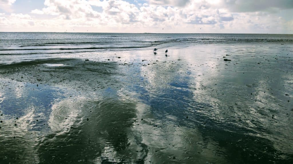 Activités aquatiques à la Baule