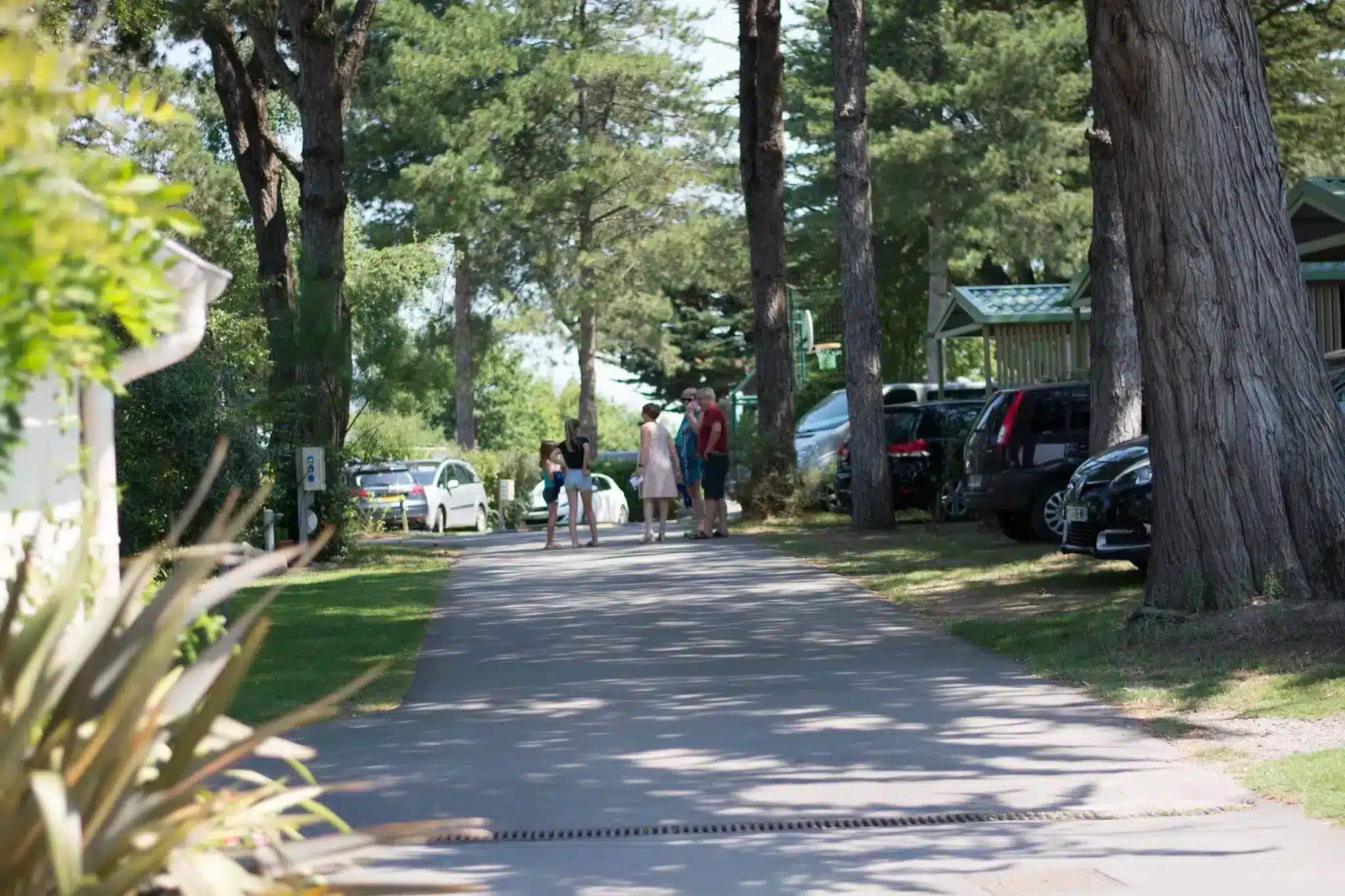 Camping nature en Loire-Atlantique - Eco-responsible commitment