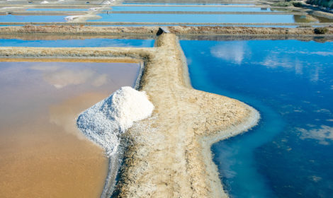 Marais salants de Guérande