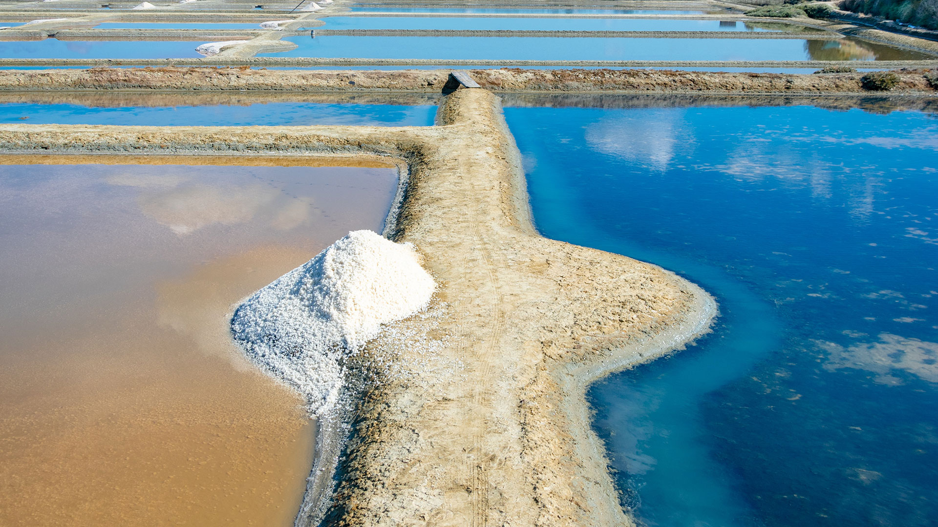 Marais salants de Guérande