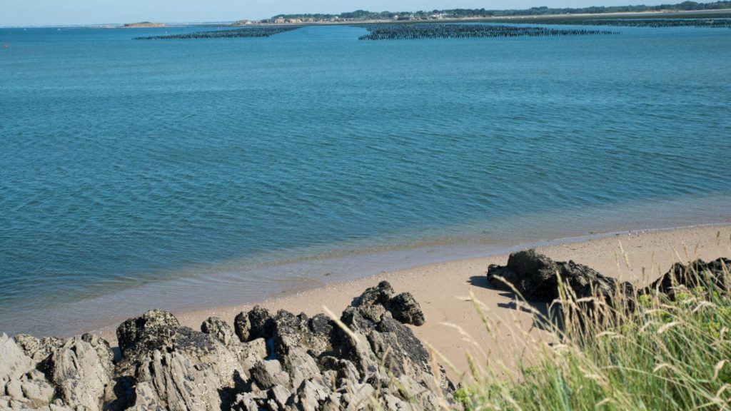 Plage avec parc à Moule en Loire-Atlantique