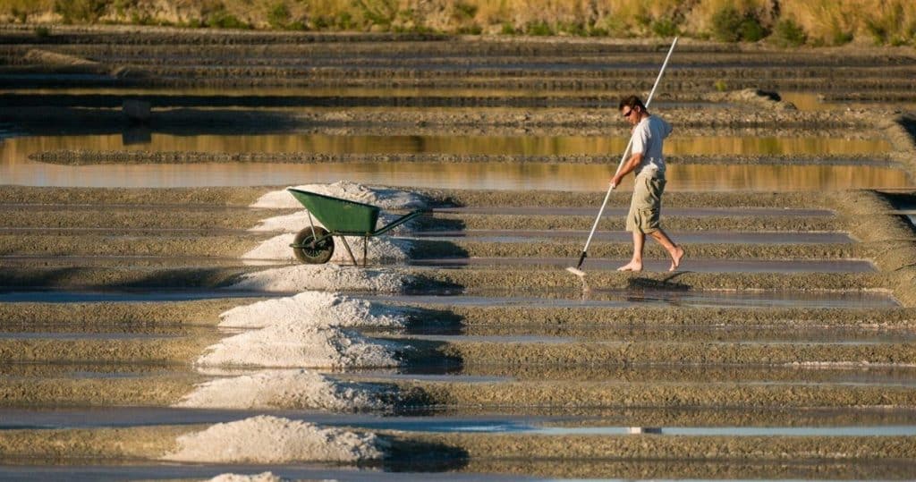 Pays Blanc de Guérande près du camping Au Soir d'été