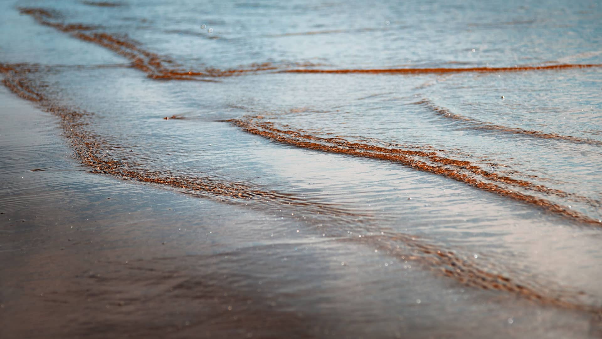 Plage en marée basse