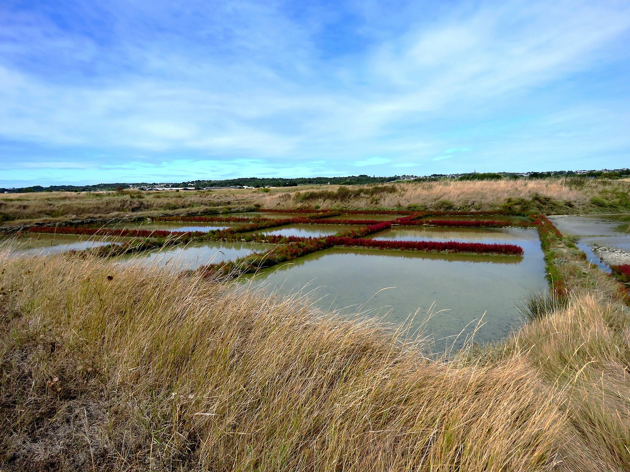 guerande-marais-salants